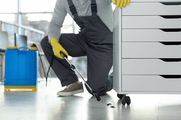 اسعار مكافحة الحشرات بمكة